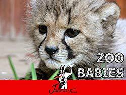 Image: Watch Zoo Babies | A heart warming and inspiring series welcoming the arrival of new members of the animal kingdom in Zoo's around the world, as well as showcasing endangered species being born in captivity. Perfect family viewing packaged with fun, colourful graphics designed to capture the attention of little ones