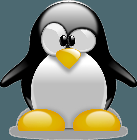 How to install Linux on a Chromebook? How to install Linux on a Chromebook?