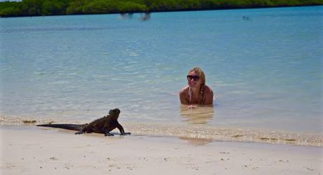 Get close to nature on a Galapagos vacation