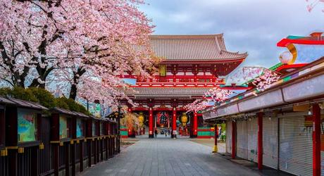 Visit one of Japan's many beautiful temples.