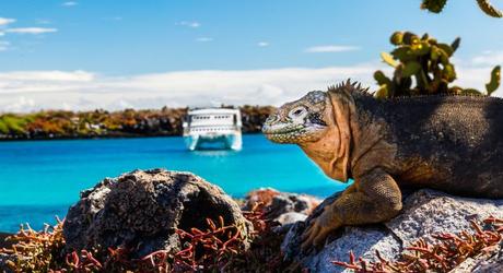 Galapagos cruise to explore the flora and fauna