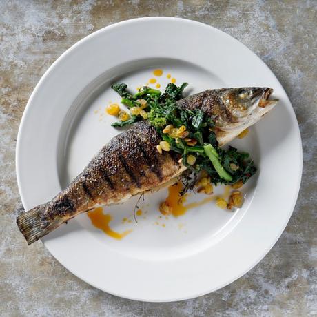 4 Foods That Help in Increasing Immunity Without Any Supplements