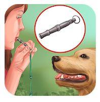  Best Dog Whistle Apps Android