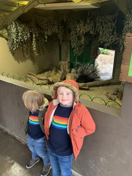 A Family Day At Longleat Safari Park