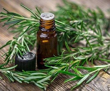 Essential Oil for Cold Sores: 7 Best Options Available