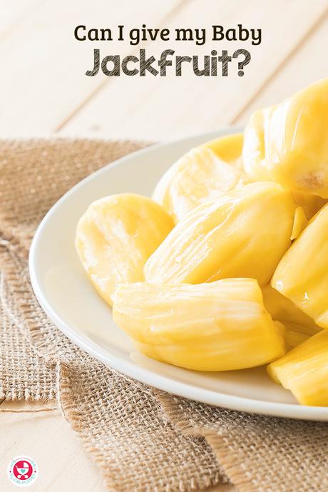 Are you confused when to introduce jackfruit to your baby? Read on to find out when and how to feed your baby this fabulous fruit.