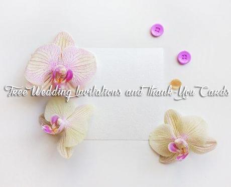 wedding freebies free wedding invitations and thank you cards