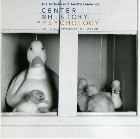 How Animal Subjects Shaped Psychology: A Student Exhibit