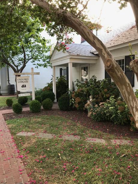 A Garden, a Book, and a Library