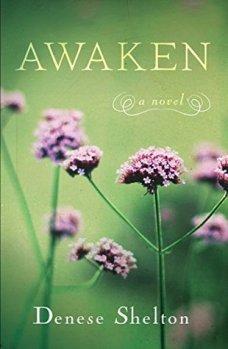 Awaken: A Novel by Denese Shelton
