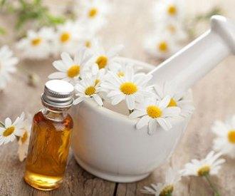 Top 10 Essential Oils for Your Immune System