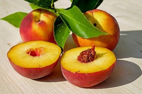 Can Dogs Eat Peaches: Is It a Perfect Substitute for a Dog Snack?