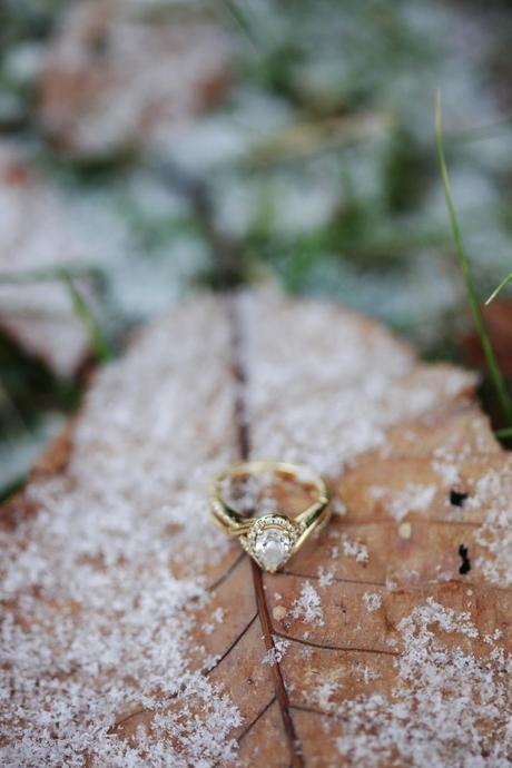 C:\Users\DSG - Shaine\Downloads\depth-of-field-engagement-ring-frost-776372.jpg