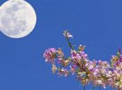 Full Moon Meditation with Metatron: Awakening April