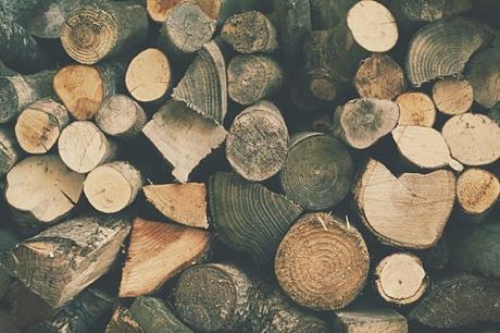 Your Guide to Sustainable Wood