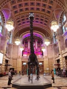 Deeply dippy in Glasgow