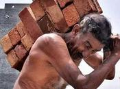 Build Your Business Dubai?