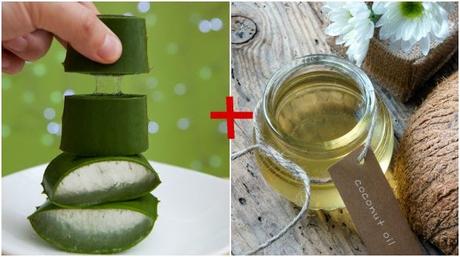 Different Ways to Use Aloe Vera Gel for Face, Body & Hair Ways to Use Aloe Vera Gel