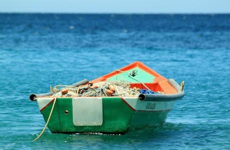 Fishing pontoon boats