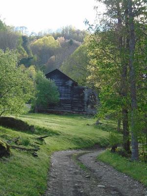 A Few Pictures from the Easter Party