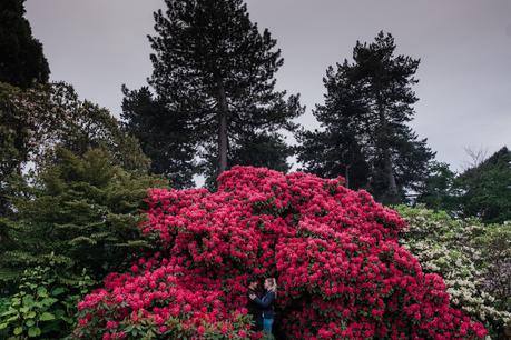 Top Engagement Photography Locations around Edinburgh