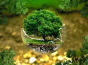 April 22nd Featuring Earth Freebies