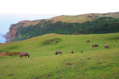 Batanes Escapade II: South Batan's Attractions