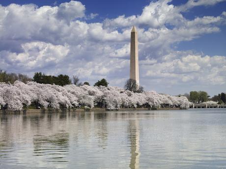 5 Must-Do Experiences for a First Time Washington DC Visitor