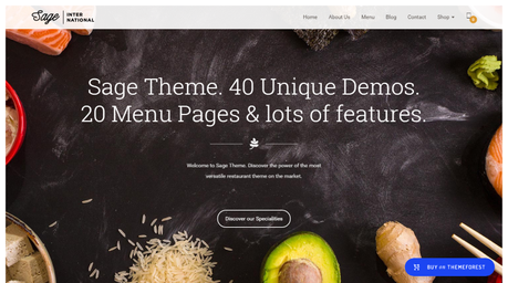 Sage WP Theme