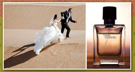 Top Best Colognes To Attract Females That You Should Know