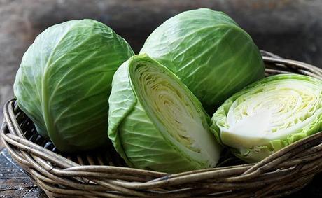 Cabbage vs Lettuce: Differences You Must Know