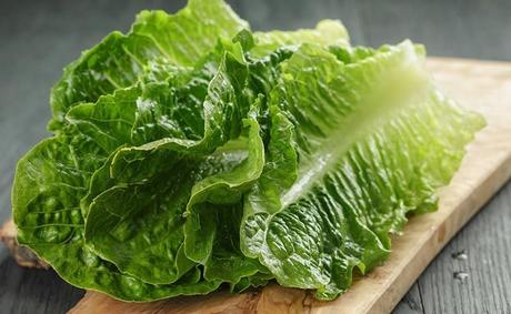 Cabbage vs Lettuce: Differences You Must Know