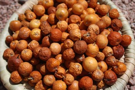 Health Benefits of Jujube Fruit!