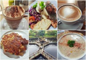 Must-Eat at South Island