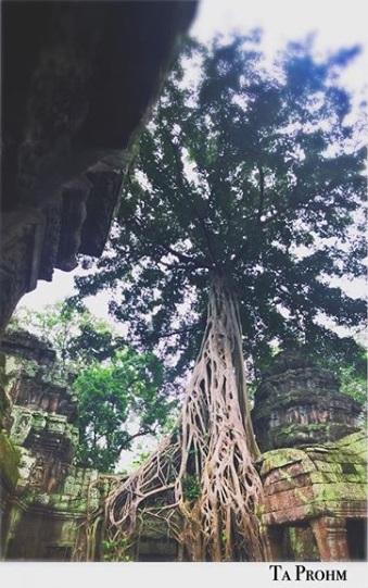 Exploring Cambodia’s Spectacular Temples