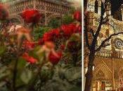 Tips Planning Romantic France Honeymoon