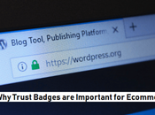 Trust Badges Important Ecommerce