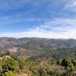 Fortune Select Forest Hills, Solan (Near Kasauli): Complete Sukoon!