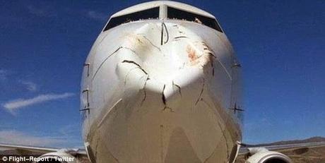 nose area (radome) badly damaged by bird-hit ~ not an angry bird !!