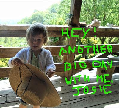 Scenes from a Busy Life -- Josie