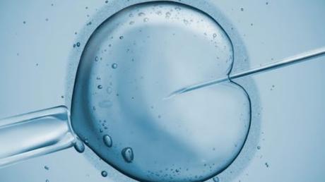 IVF Tips for successful procedure