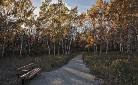 Daily haiku and writing prompt (May 2, 2019)