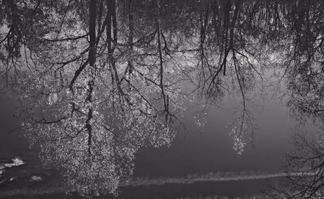 Daily haiku and writing prompt (May 4, 2019)