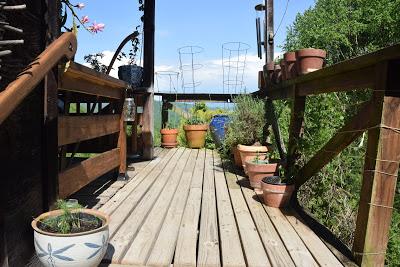 Porch Gardening and Tomato Tutures