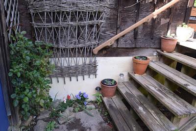 Porch Gardening and Tomato Tutures