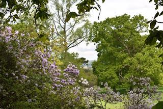 A morning at Borde Hill Garden