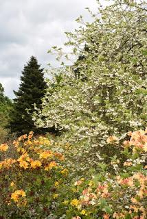 A morning at Borde Hill Garden