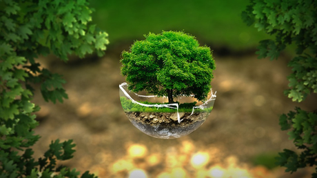 5 Reasons Why All Businesses Should Go Green