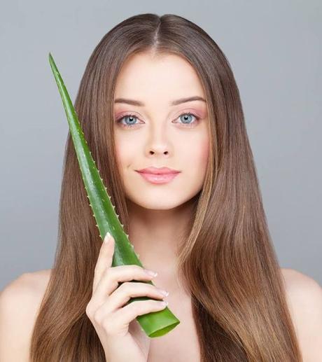 Aloe Vera for Skin and Hair care