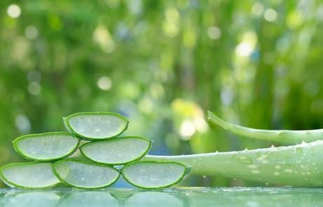 Aloe Vera for Skin and Hair care